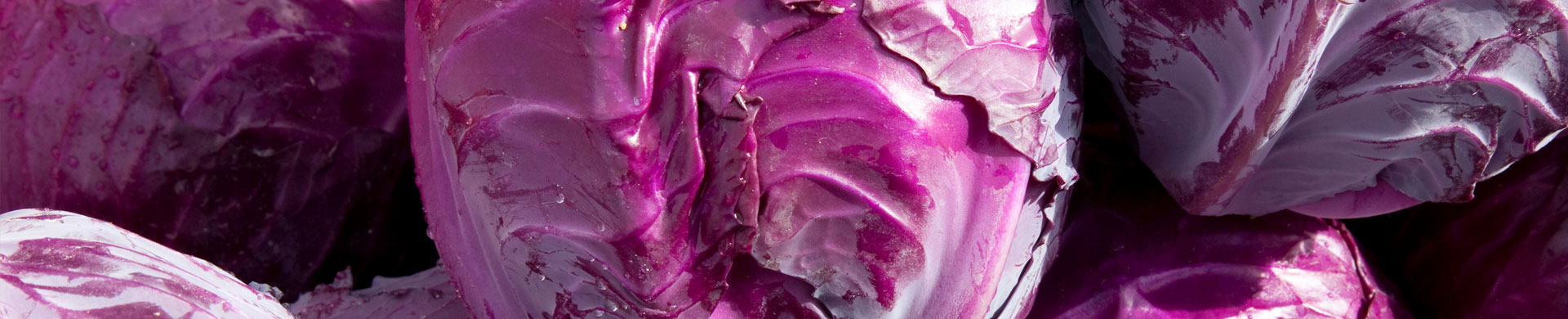dekoratives Bild zu Untermalung der Kategorie "Rotkohl"