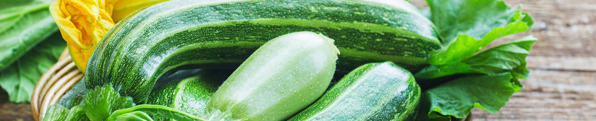 Zucchini