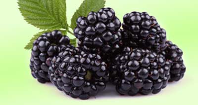 Brombeeren