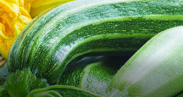 Zucchini