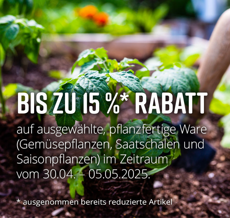 Sichern Sie sich bis zum 05.05.2025 bis zu 15 % Rabatt auf ausgewhlte, pflanzfertige Ware!