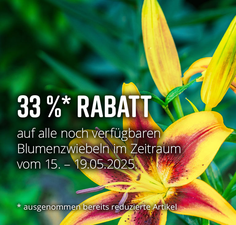 Sichern Sie sich 33 % Rabatt auf alle noch verfgbaren Blumenzwiebeln und -knollen fr die Frhjahrspflanzung!