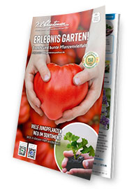 Das Themenheft zum Gartenkatalog: "Erlebnis Garten" - Trends und bunte Pflanzenvielfalt