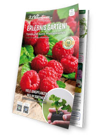 Das Themenheft zum Gartenkatalog: "Erlebnis Garten" - Trends und bunte Pflanzenvielfalt