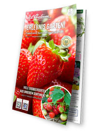 Das Themenheft zum Gartenkatalog: "Erlebnis Garten" - Trends und bunte Pflanzenvielfalt