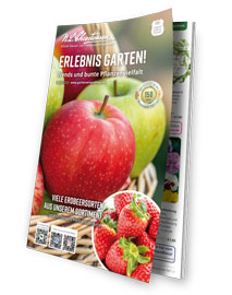 Das Themenheft zum Gartenkatalog: "Erlebnis Garten" - Trends und bunte Pflanzenvielfalt