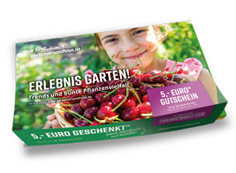 Das Themenheft zum Gartenkatalog: "Erlebnis Garten" - Trends und bunte Pflanzenvielfalt
