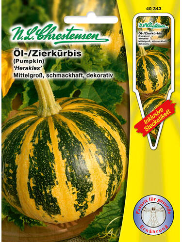 Hauptbild des Artikels "l- bzw. Zierkrbis Herakles" aus der Kategorie "Krbissamen"