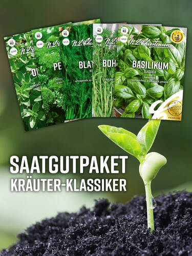 Hauptbild des Artikels "  Basis-Sortiment Saatgut" aus der Kategorie "Samen"