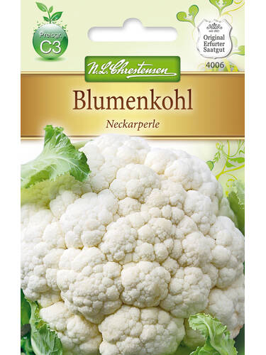 Hauptbild des Artikels " Blumenkohl Neckarperle" aus der Kategorie "Kohlsamen"