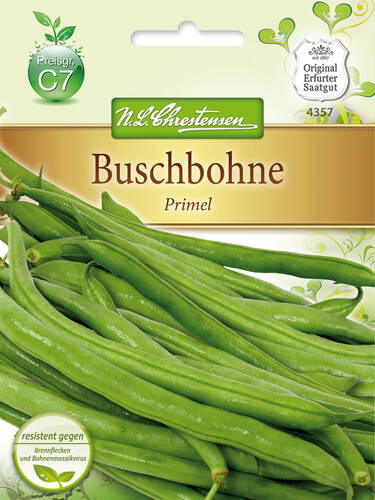   Buschbohne Primel