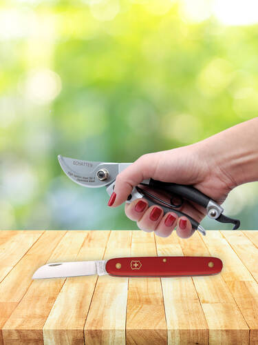 Hauptbild des Artikels " Damen- und Floristenschere & Victorinox Grtnermesser "
