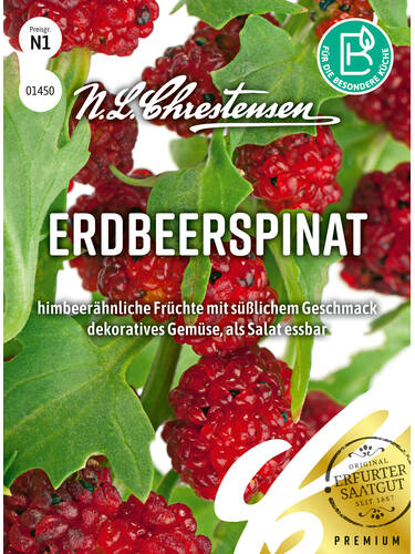 Hauptbild des Artikels " Erdbeerspinat"