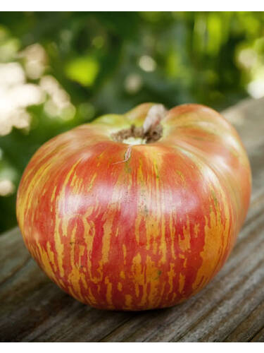 Hauptbild des Artikels " Fleischtomate Ananas"
