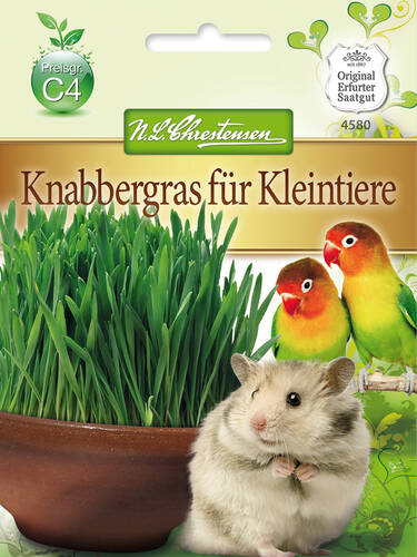 Hauptbild des Artikels " Knabbergras fr Kleintiere" aus der Kategorie "Samen"