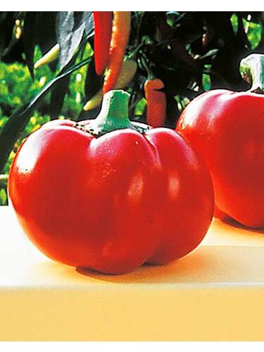 Hauptbild des Artikels " Paprika Pritavit F1" aus der Kategorie "Gemsejungpflanzen"