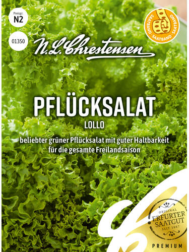  Pflcksalat Lollo