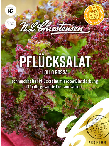  Pflcksalat Lollo rossa