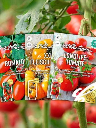  Tomatenlieblinge - Angebot des Monats 