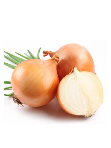 Hauptbild des Artikels "  BIO-Zwiebel Hysky, F1 " (Bildbeschreibung ist in Arbeit)