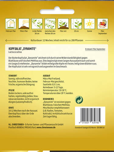 erstes zustzliches Bild des Artikels "Kopfsalat Dynamite" aus der Kategorie "Salatsamen"