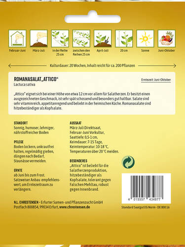 erstes zustzliches Bild des Artikels "Romanasalat Attico" aus der Kategorie "Salatsamen"