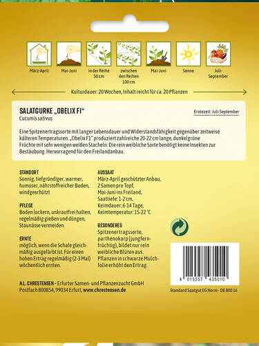 Gurkensamen - Salatgurke Obelix, F1 Bild 2