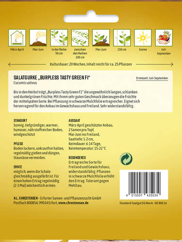 Gurkensamen - Salatgurke Burpless Tasty Green, F1 Bild 2