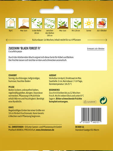 Erstes Zusatzbild des Artikels "Zucchini Black Forest, F1" (Bildbeschreibung ist in Arbeit
