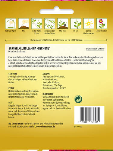 erstes zustzliches Bild des Artikels "Bartnelke Hollandia Mischung" aus der Kategorie "Samen"