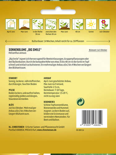 erstes zustzliches Bild des Artikels "Sonnenblume Big Smile" aus der Kategorie "Samen"