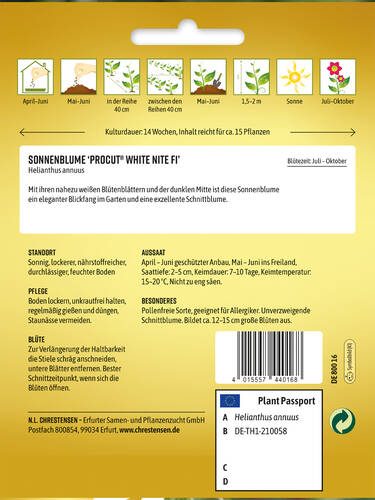 Erstes Zusatzbild des Artikels "Sonnenblume Procut� White Nite, F1" (Bildbeschreibung ist in Arbeit