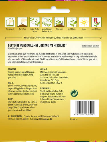 erstes zustzliches Bild des Artikels " Wunderblume gestreifte Mischung" aus der Kategorie "Samen"