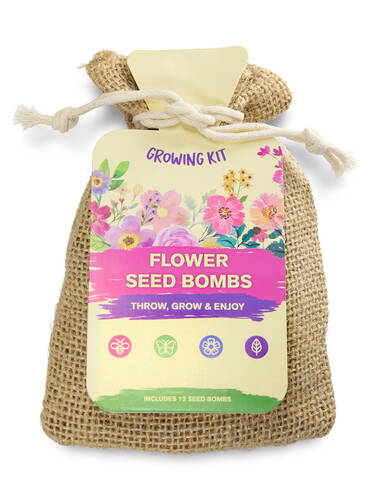 Hauptbild des Artikels "12 Saatkugeln Flower Seed Bombs" (Bildbeschreibung ist in Arbeit)