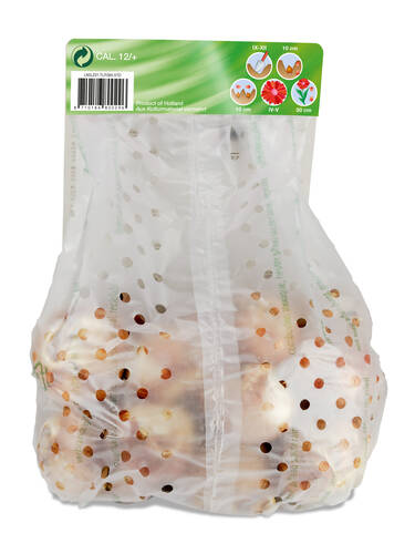 Erstes Zusatzbild des Artikels "Gefllte-Tulpen-Mix" (Bildbeschreibung ist in Arbeit