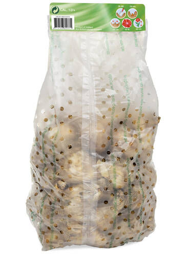 Erstes Zusatzbild des Artikels "Narzissen-Mix" (Bildbeschreibung ist in Arbeit