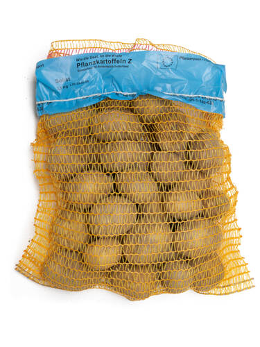 erstes zustzliches Bild des Artikels "Pflanzkartoffel Solist" aus der Kategorie "Pflanzgut"