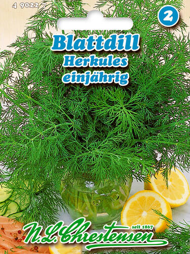 Zweites Zusatzbild des Artikels "Pflanzkartoffel Salome + Dill Herkules + Petersilie Gr�ne Perle" (Bildbeschreibung ist in Arbeit