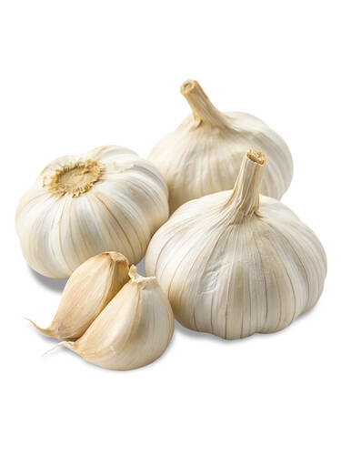 Erstes Zusatzbild des Artikels "Pflanzknoblauch" (Bildbeschreibung ist in Arbeit