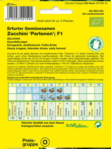 Samen - BIO-Zucchini Partenon F1 Bild 2