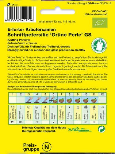 Samen - BIO-Petersilie Grne Perle  Bild 2