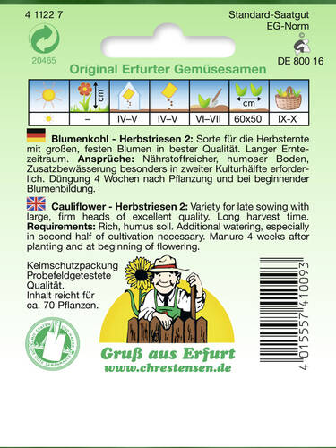 erstes zustzliches Bild des Artikels "Blumenkohl Herbstriesen 2"