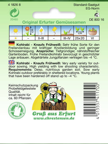 Samen - Kohlrabi Knaufs Frühweiß Bild 2