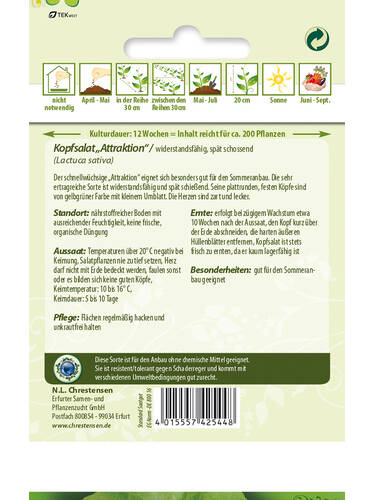 erstes zustzliches Bild des Artikels "Kopfsalat Attraktion" aus der Kategorie "Salatsamen"
