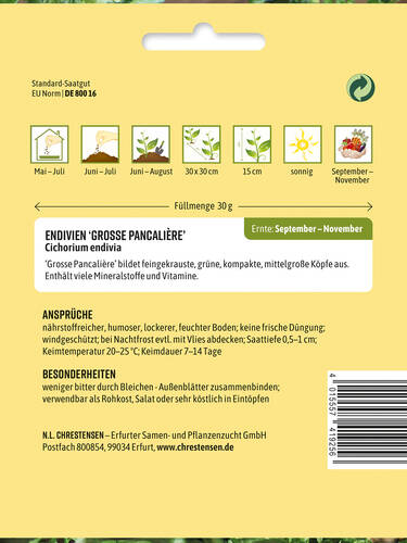 Erstes Zusatzbild des Artikels "Endivien Grosse Pancalire" (Bildbeschreibung ist in Arbeit