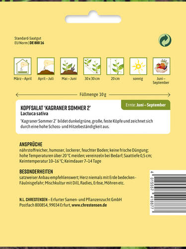 Erstes Zusatzbild des Artikels "Kopfsalat Kagraner Sommer 2" (Bildbeschreibung ist in Arbeit