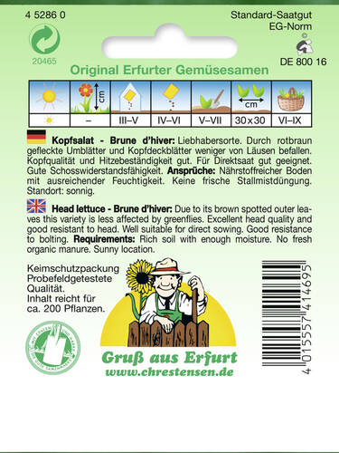 erstes zustzliches Bild des Artikels "Kopfsalat Brune d'hiver" aus der Kategorie "Salatsamen"