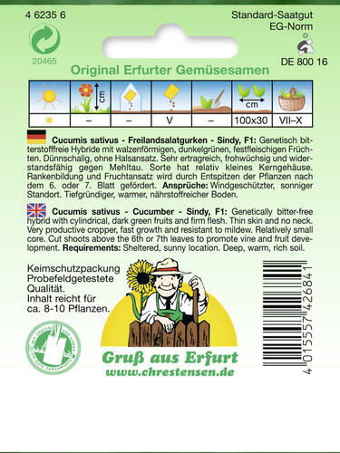 Erstes Zusatzbild des Artikels "Salatgurke Sindy, F1" (Bildbeschreibung ist in Arbeit