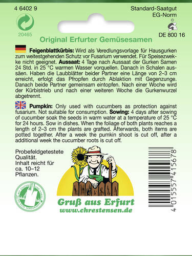 erstes zustzliches Bild des Artikels "Feigenblattkrbis" aus der Kategorie "Samen"