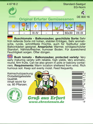 Balkonpflanzen - Buschtomate Balkonzauber Bild 2